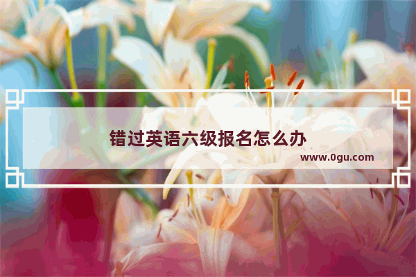 错过英语六级报名怎么办