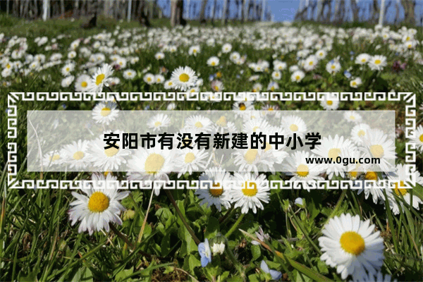 安阳市有没有新建的中小学