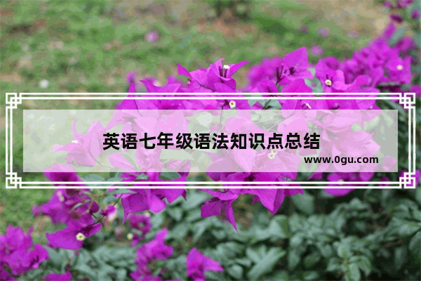 英语七年级语法知识点总结
