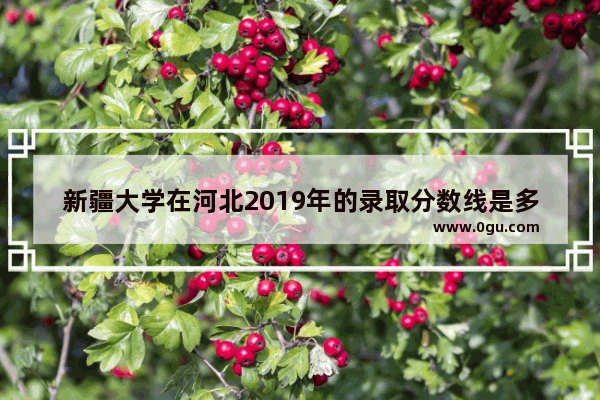 新疆大学在河北2019年的录取分数线是多少文科