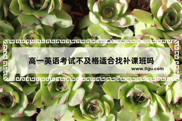 高一英语考试不及格适合找补课班吗