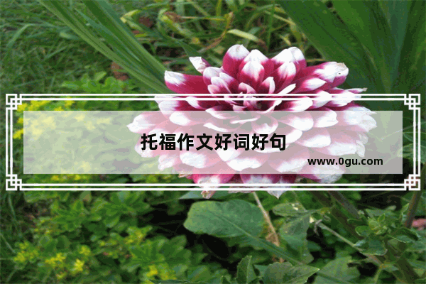 托福作文好词好句