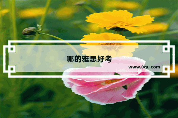 哪的雅思好考