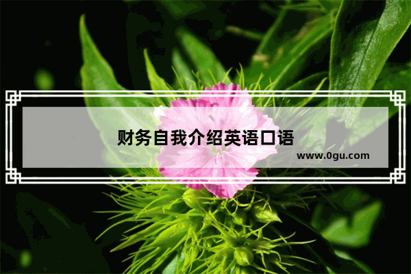 财务自我介绍英语口语