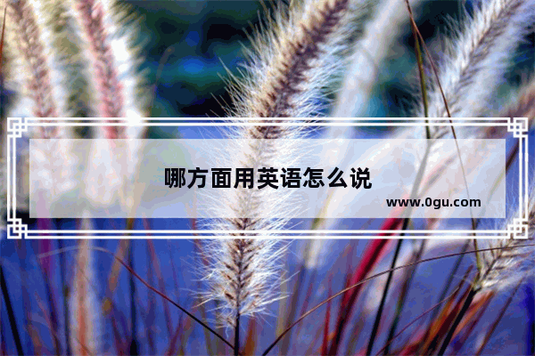 哪方面用英语怎么说