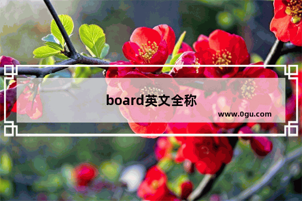 board英文全称
