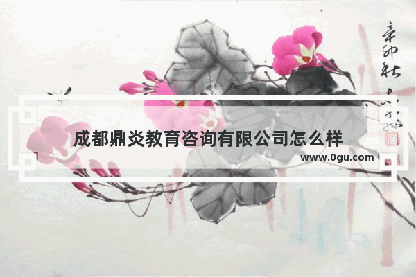 成都鼎炎教育咨询有限公司怎么样