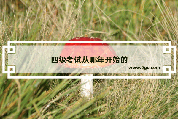 四级考试从哪年开始的