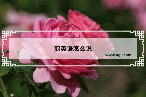 煎英语怎么说
