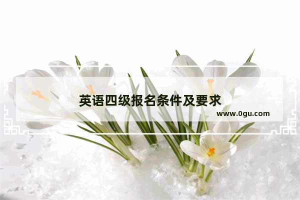 英语四级报名条件及要求