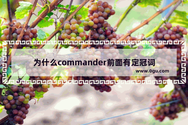 为什么commander前面有定冠词