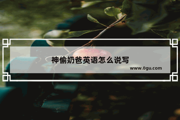 神偷奶爸英语怎么说写