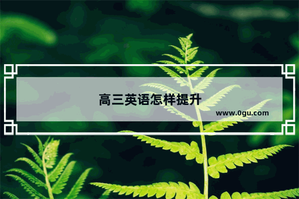 高三英语怎样提升