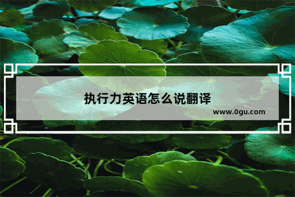 执行力英语怎么说翻译