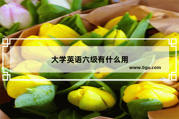 大学英语六级有什么用