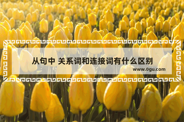 从句中 关系词和连接词有什么区别