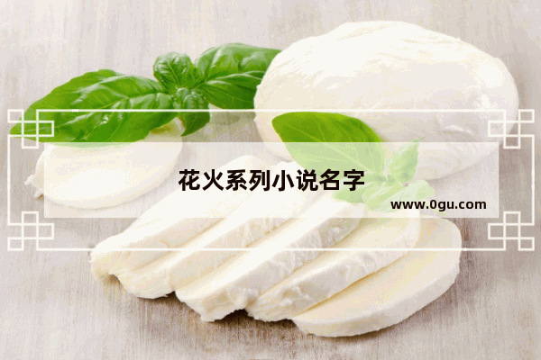 花火系列小说名字
