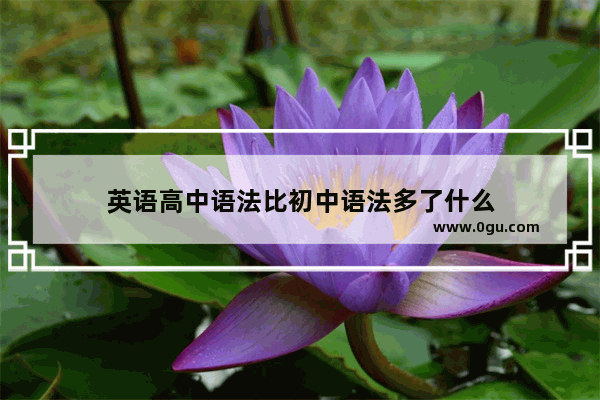 英语高中语法比初中语法多了什么