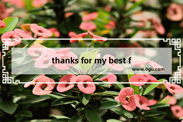 thanks for my best friend的作文