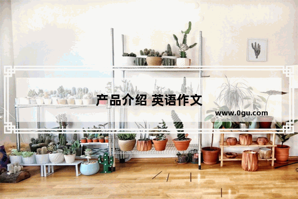 产品介绍 英语作文