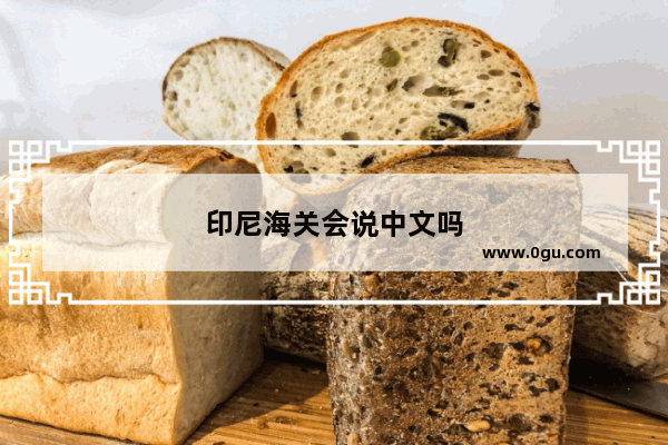 印尼海关会说中文吗