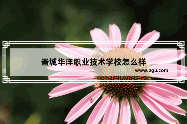 晋城华洋职业技术学校怎么样