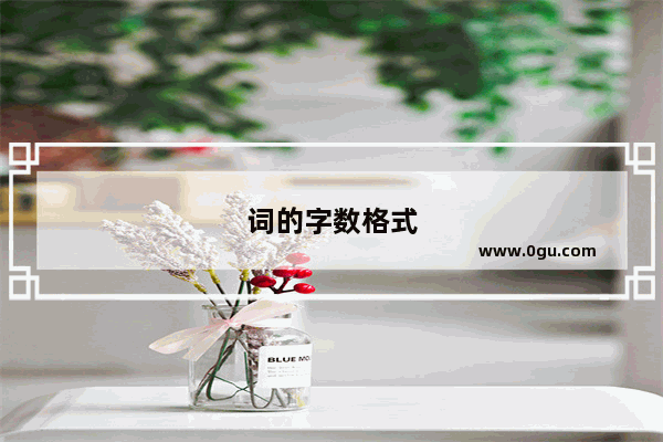 词的字数格式