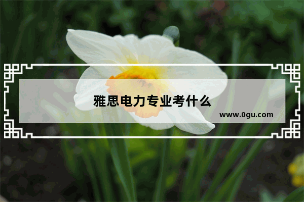 雅思电力专业考什么