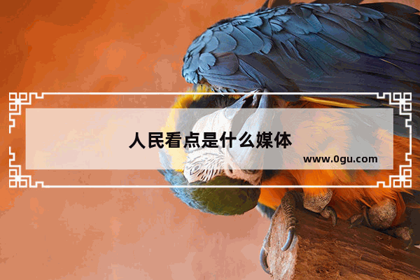 人民看点是什么媒体
