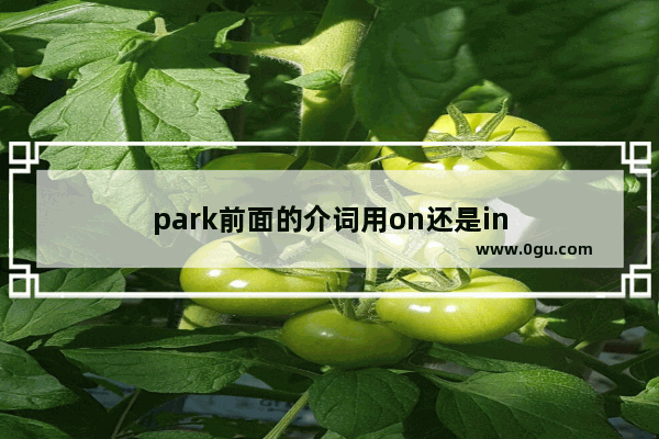 park前面的介词用on还是in