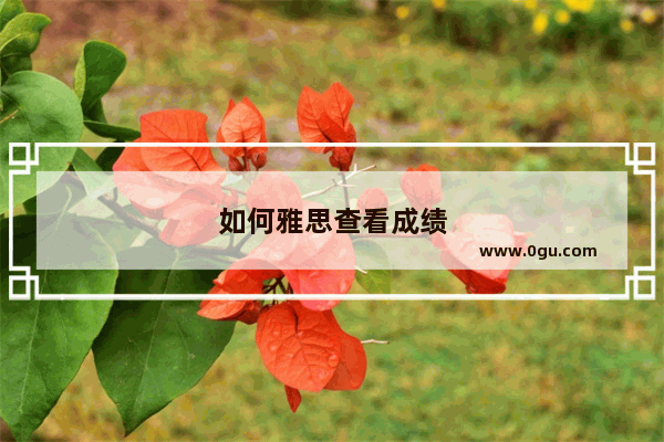 如何雅思查看成绩