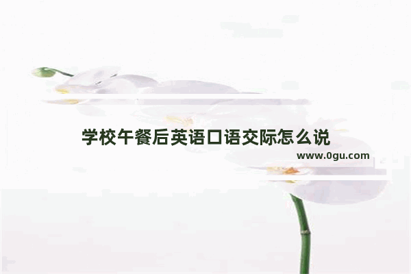 学校午餐后英语口语交际怎么说