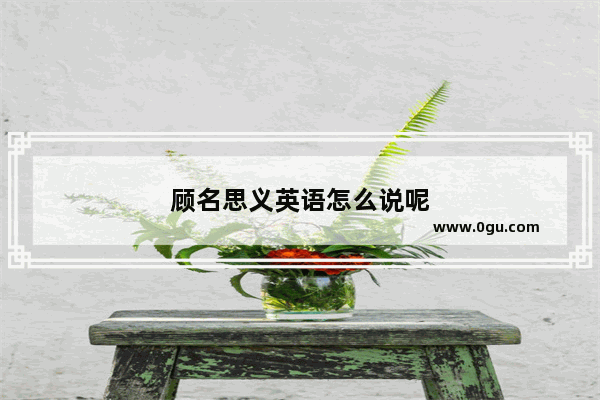 顾名思义英语怎么说呢