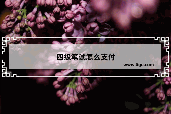 四级笔试怎么支付