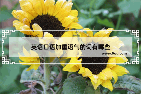 英语口语加重语气的词有哪些