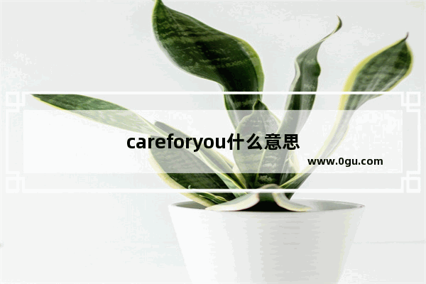 careforyou什么意思