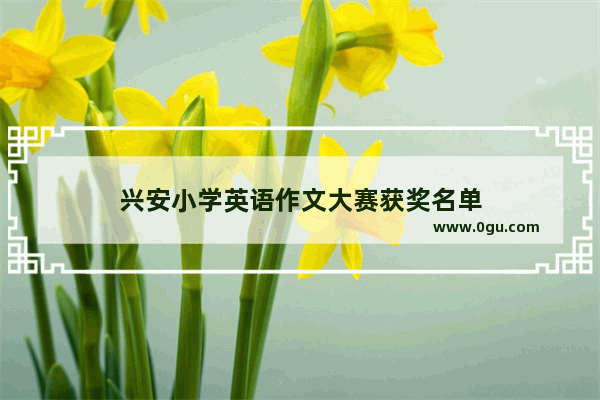 兴安小学英语作文大赛获奖名单