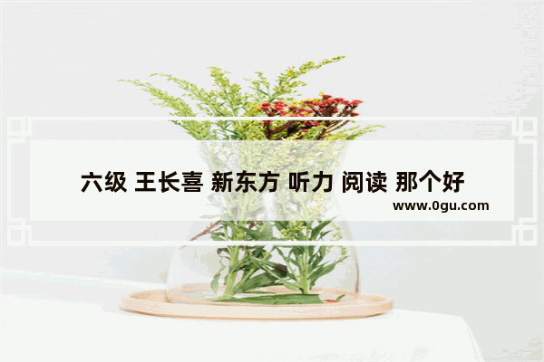 六级 王长喜 新东方 听力 阅读 那个好
