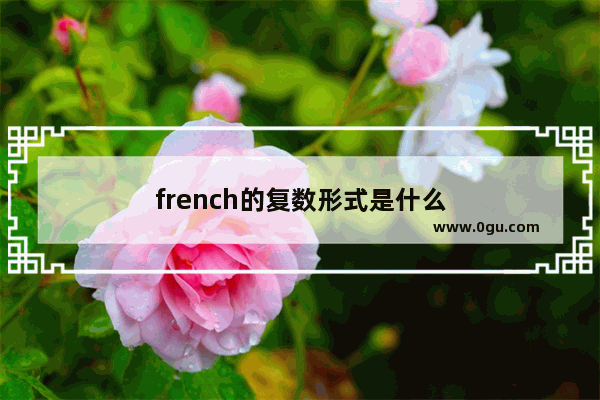 french的复数形式是什么