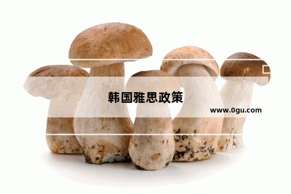 韩国雅思政策