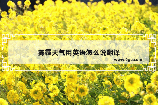 雾霾天气用英语怎么说翻译