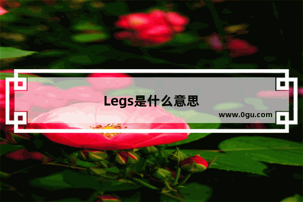 Legs是什么意思