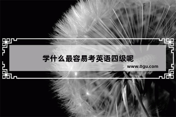 学什么最容易考英语四级呢