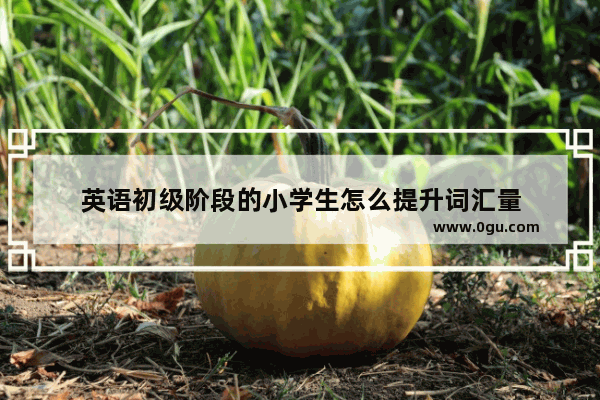 英语初级阶段的小学生怎么提升词汇量