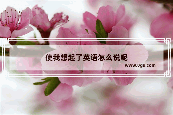 使我想起了英语怎么说呢
