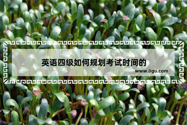 英语四级如何规划考试时间的