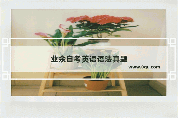 业余自考英语语法真题