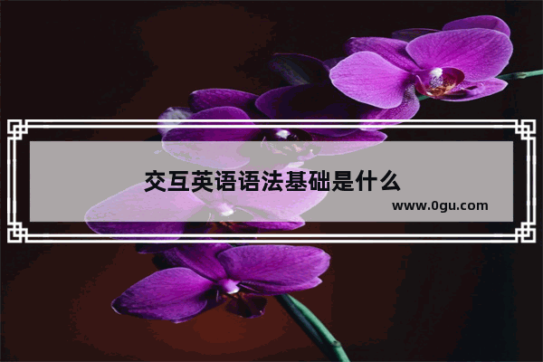交互英语语法基础是什么