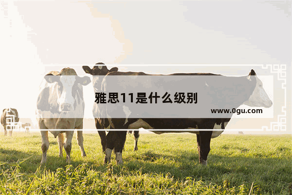 雅思11是什么级别