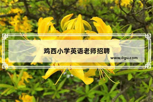 鸡西小学英语老师招聘